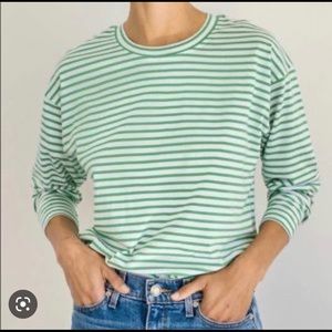 AYR French Fry - Romaine